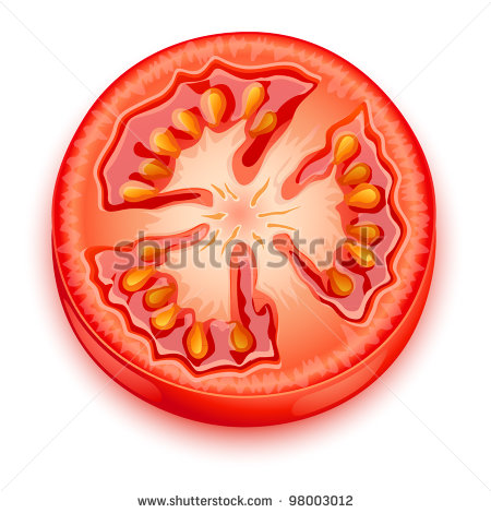 Slice Of Tomato Stock Vector Illustration 98003012   Shutterstock