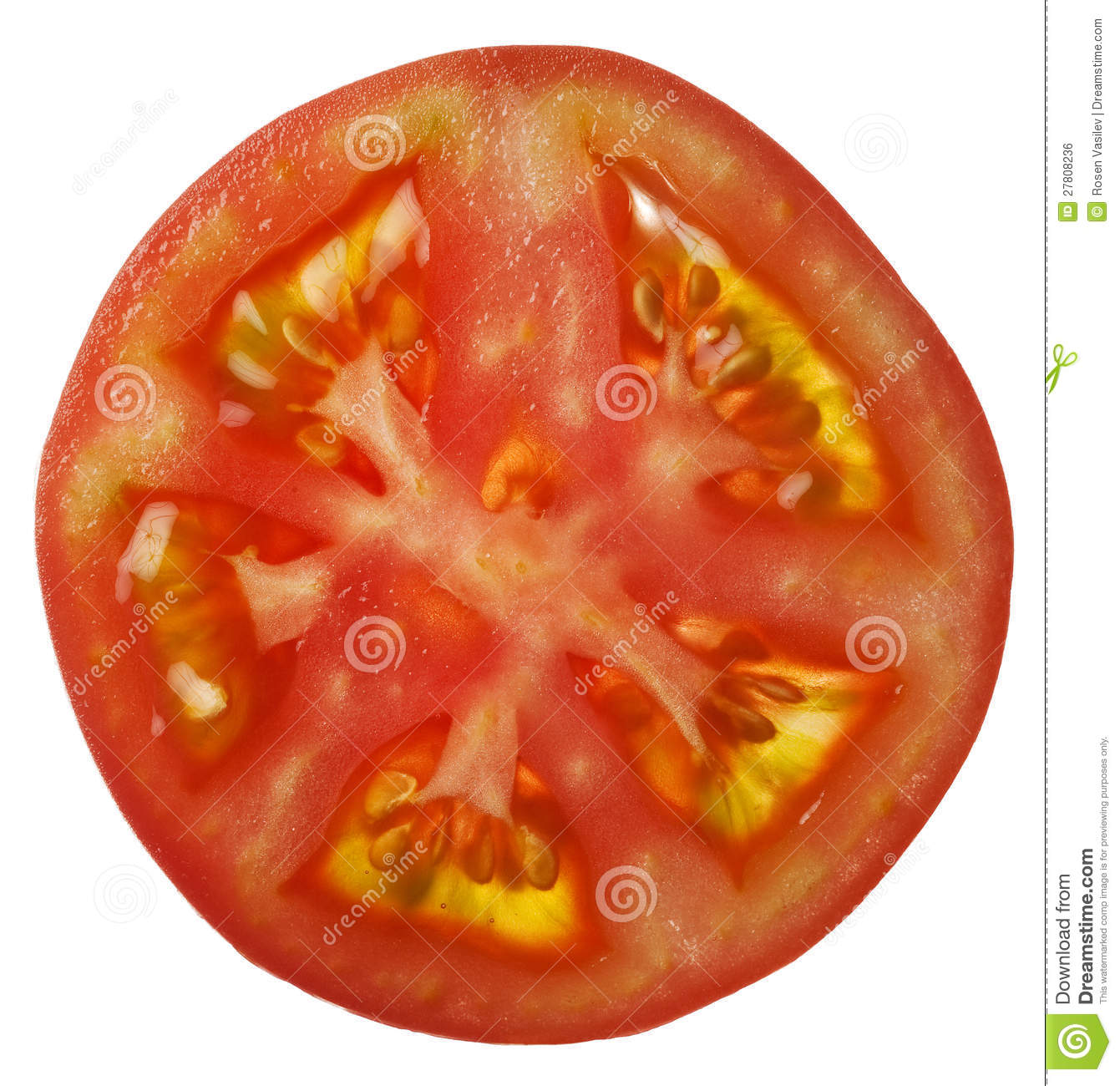 Slice Tomato Royalty Free Stock Image   Image  27808236