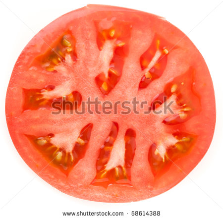 Sliced Tomato Clipart Tomato Slice Isolated On White