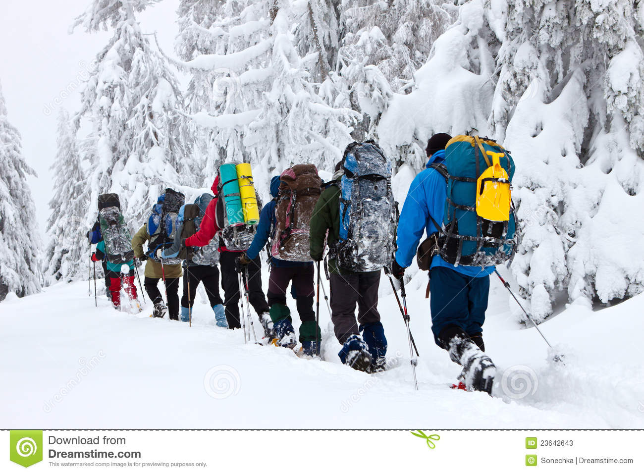 Snowshoeing In Winter  Group Of Hikers In Winter Mountains 