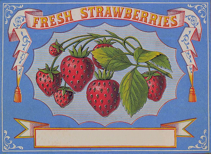 This Is Such A Fun Antique Fruit Label The Label Is Done In A Pretty    