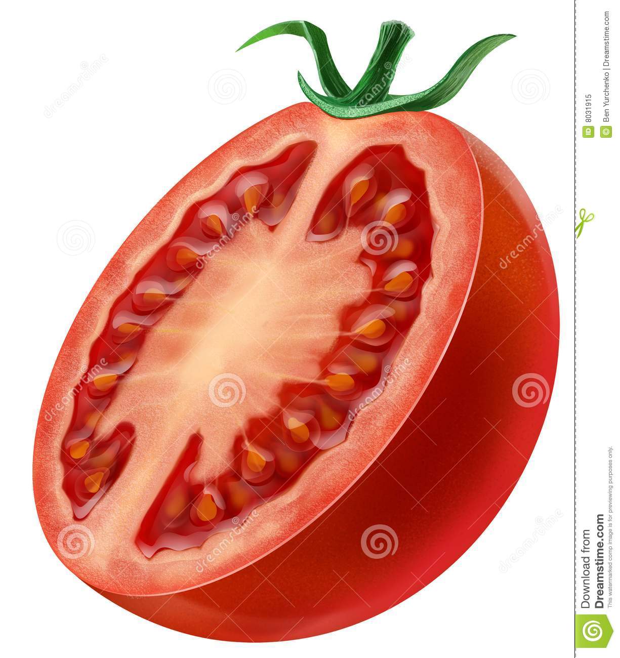 Tomato Slice Clipart Images   Pictures   Becuo