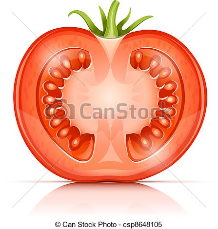 Tomato Slice Clipart Tomato Illustrations And Clipart  16766 Tomato