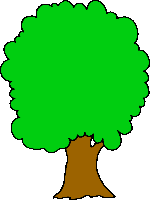 Cartoon Rainforest Tree