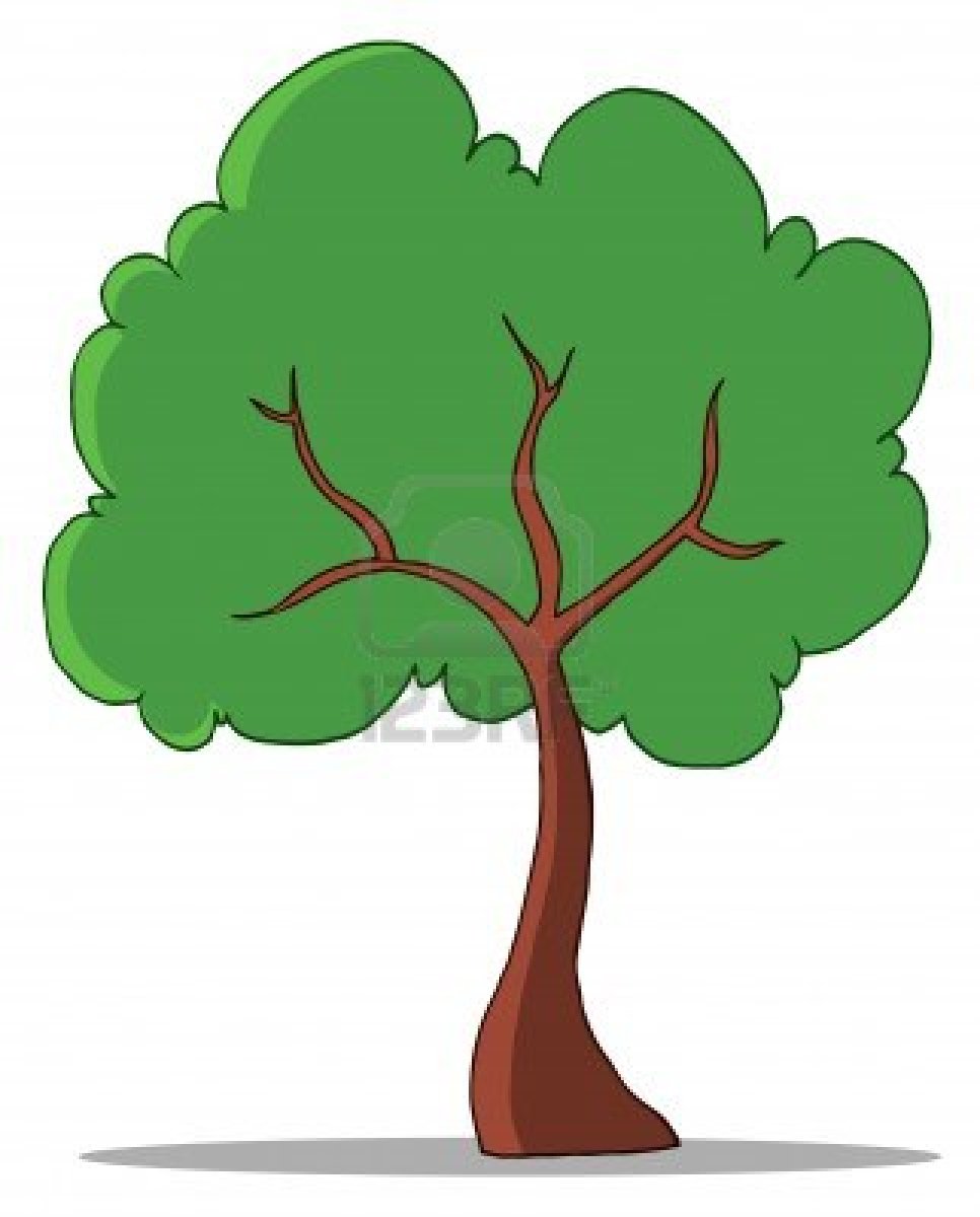 Cartoon Rainforest Tree   Pics