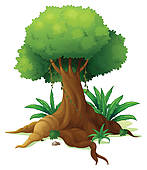 Rainforest Trees Clipart A Big Tree   Clipart Graphic