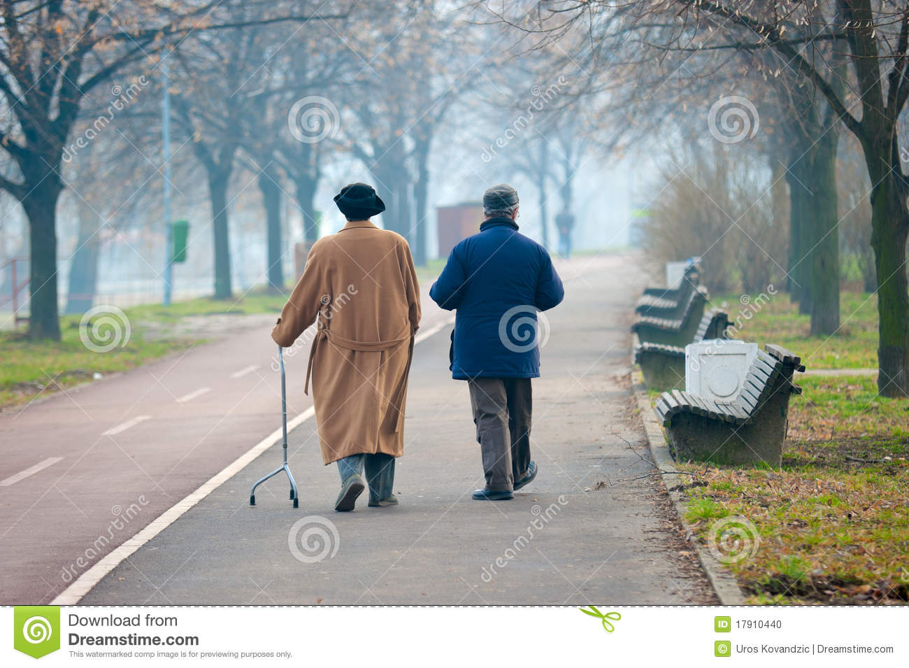 Seniors Walking Stock Photo   Image  17910440
