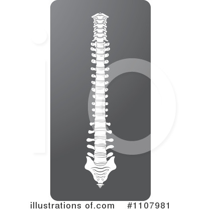 Spine Clipart  1107981   Illustration By Lal Perera