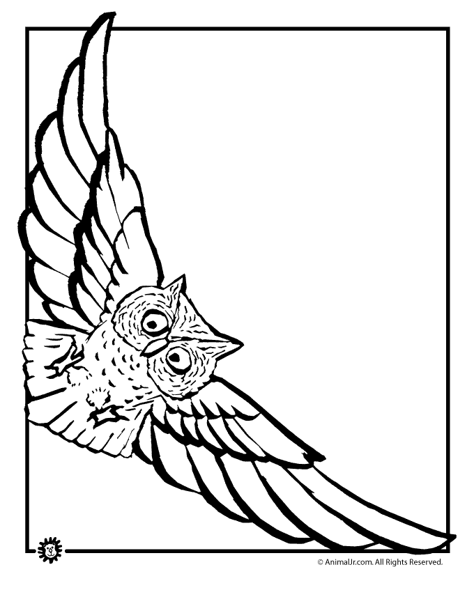 Flying Owl Line Drawing Flying Owl Coloring Page Gif