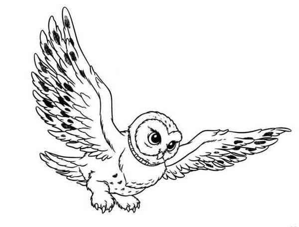 Flying Snowy Owl Clipart   Clipart Panda   Free Clipart Images