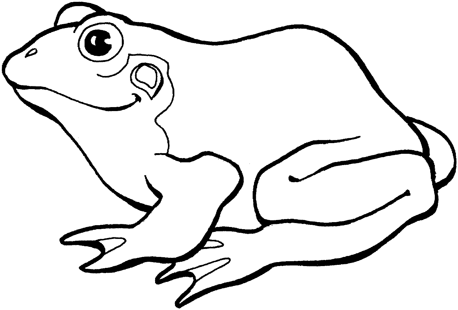 Frog Coloring Pages   Clipart Panda   Free Clipart Images