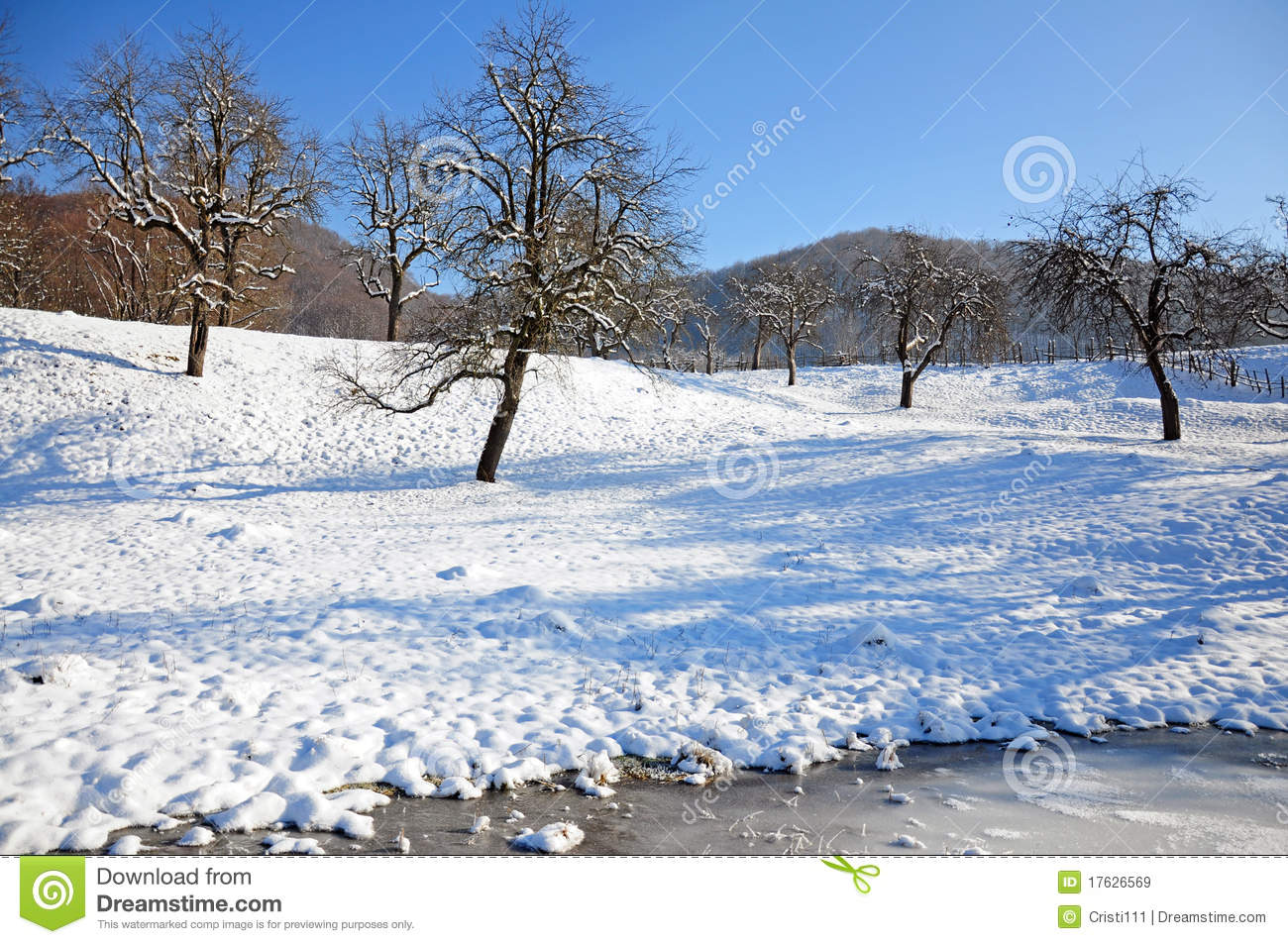 Shadows On Snowy Orchard Royalty Free Stock Images   Image  17626569