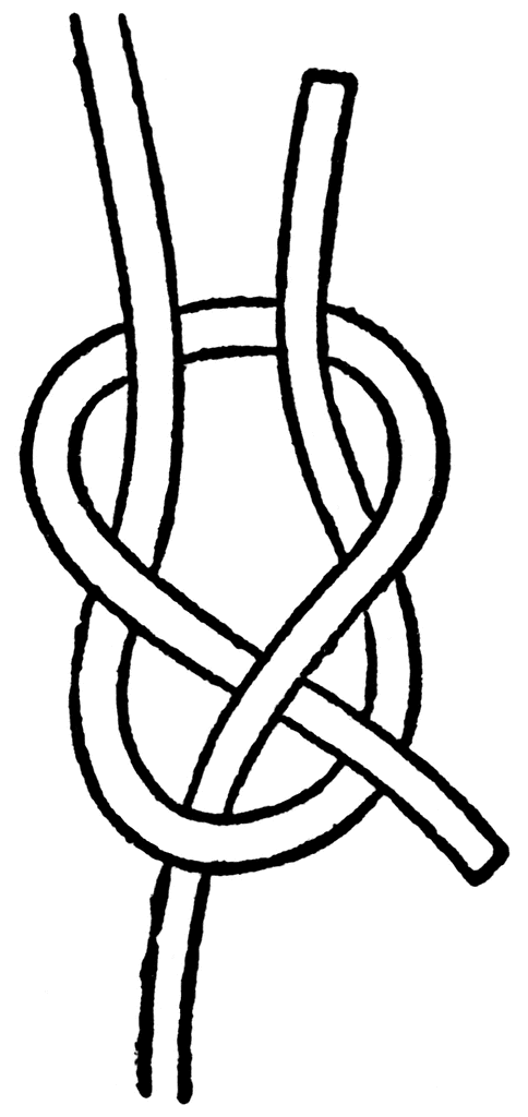 Steps Necessary To Tie Each Knot Adjacent To The Knot  Color Each Knot