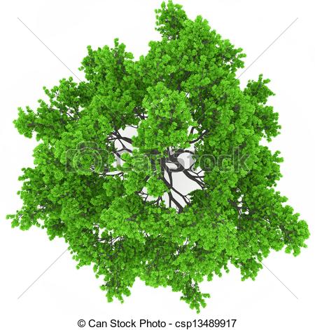 Stock Photo   Tree Top View   Stock Image Images Royalty Free Photo