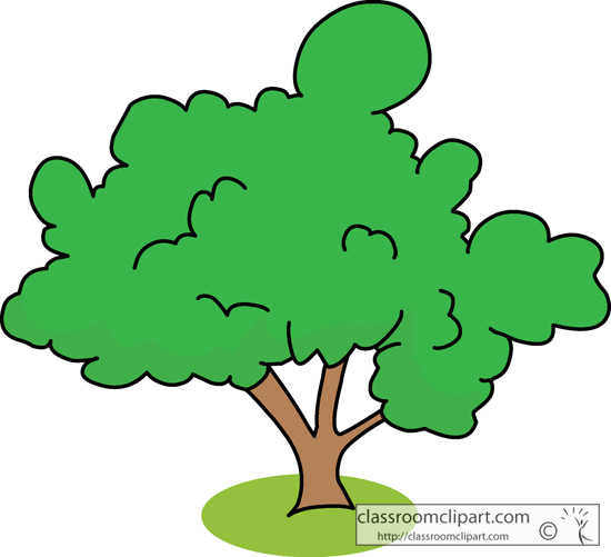 Trees   Green Tree 1227   Classroom Clipart
