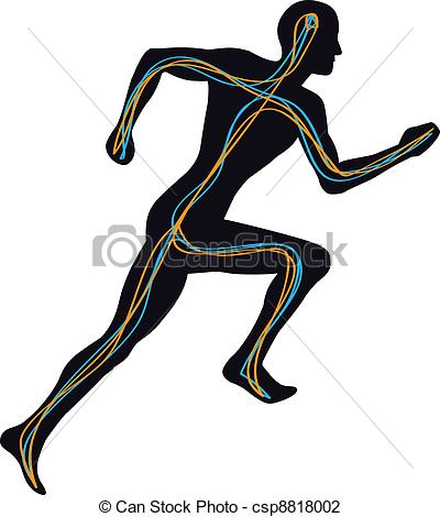 Vector   Human Nervous System   Man Running   Stock Illustration