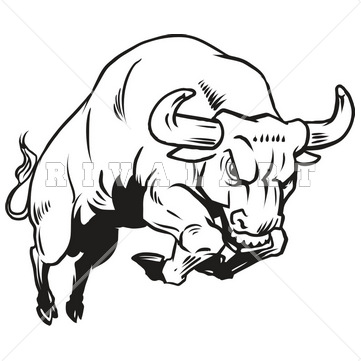 Charging Bull Drawing