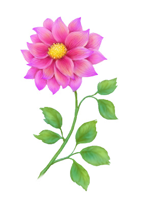 Free Flower Clip Art Single Pink Daisy Gerbera   Just Free Image
