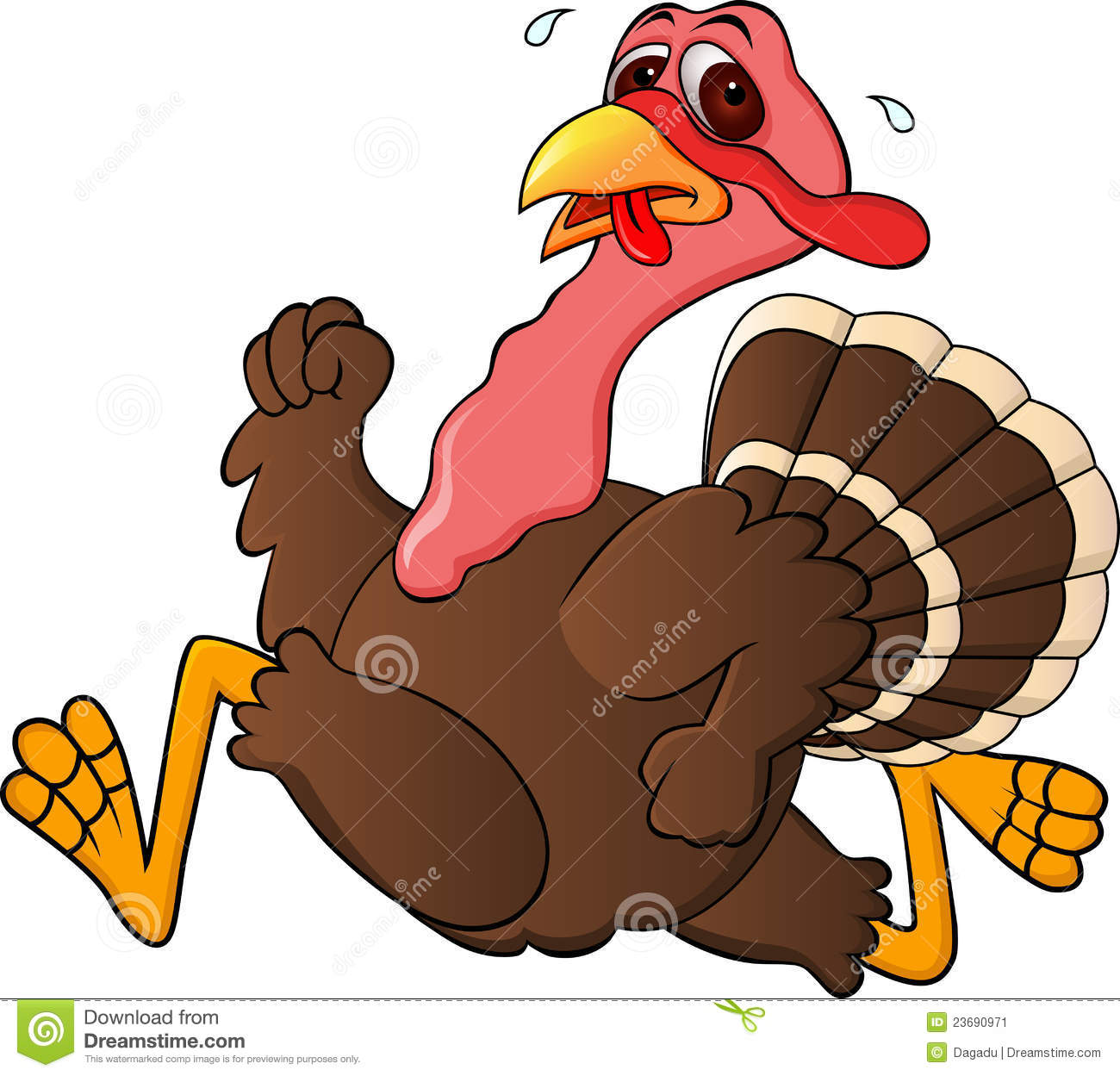 Funny Turkey Running Stock Image   Image  23690971