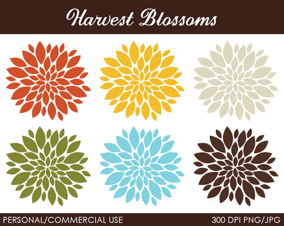 Harvest Blossoms Clipart   Digital Clip Art Graphics For Personal Or    