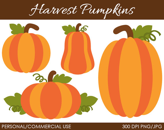 Harvest Pumpkins Clipart   Digital Clip Art Graphics For Personal Or