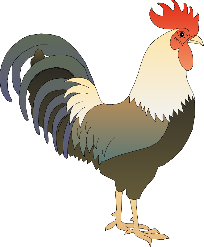 Rooster Clip Art   Images   Free For Commercial Use