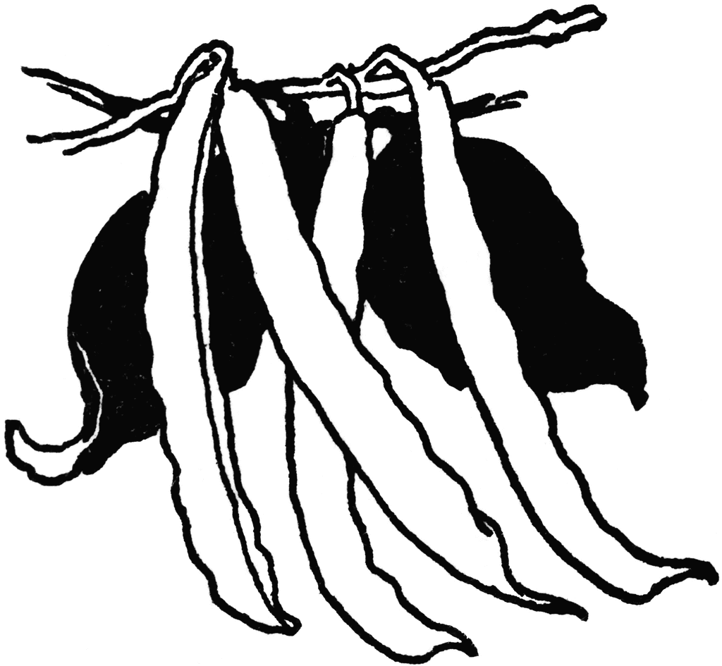 10 String Beans Clip Art   Free Cliparts That You Can Download To You