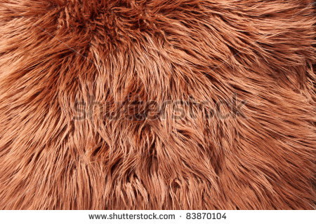 Animal Fur Stock Photos Illustrations And Vector Art
