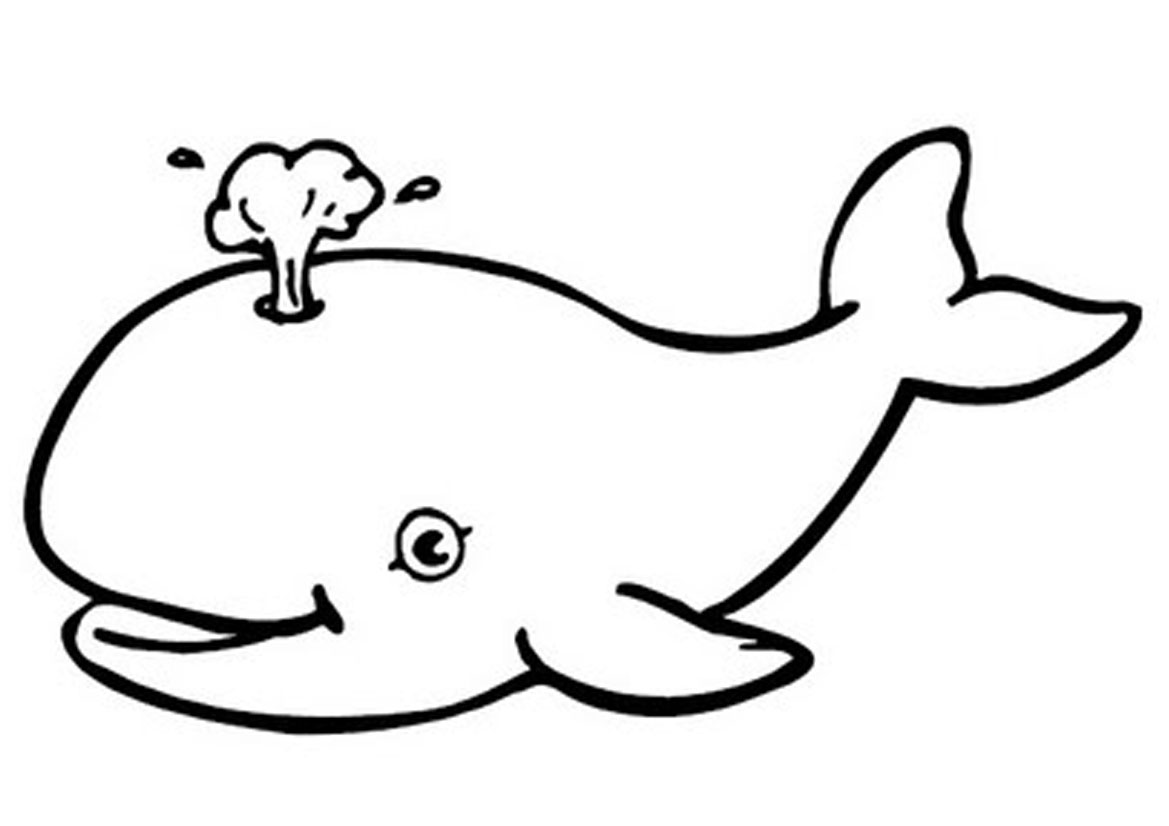Beluga Whale Clipart   Clipart Panda   Free Clipart Images