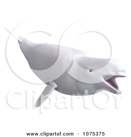 Clipart 3d White Female Beluga Whale 3   Royalty Free Cgi Illustration