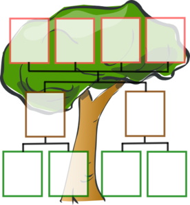 Family Tree   3 Generation Clip Art At Clker Com   Vector Clip Art