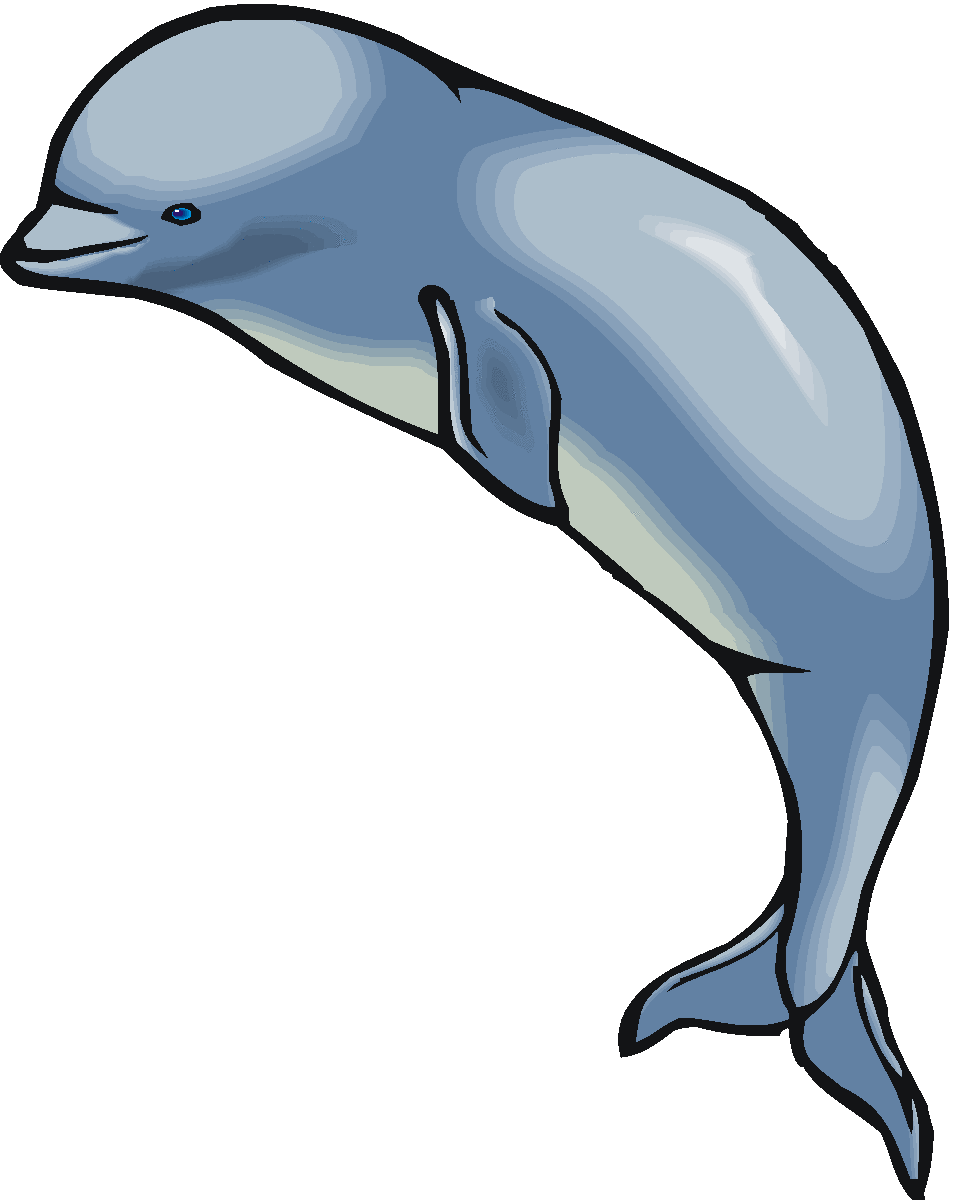 Humpback Whale Clipart   Clipart Panda   Free Clipart Images