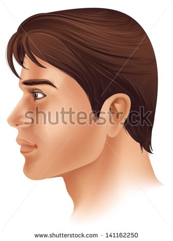 Illustration Showing A Side View Of A Man S Face   141162250
