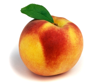 Peach Solo With Leaf  The File Includes A Excellent Clipping Path So