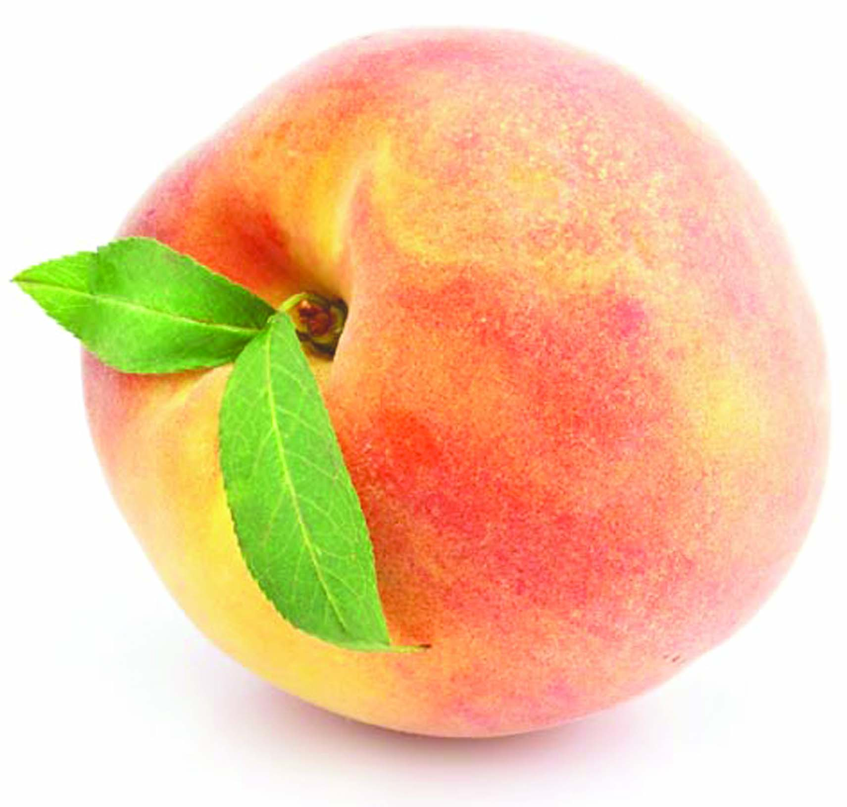 Peaches Restaurant Earns Worldwide Salute For 50 Years On Farish