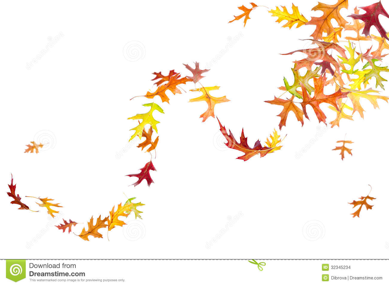 Swirl Of Falling And Spinning Autumn Leaves Isolated On White