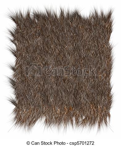 Texture Of Fur Bear   Close Up Fashion    Csp5701272   Search Clipart