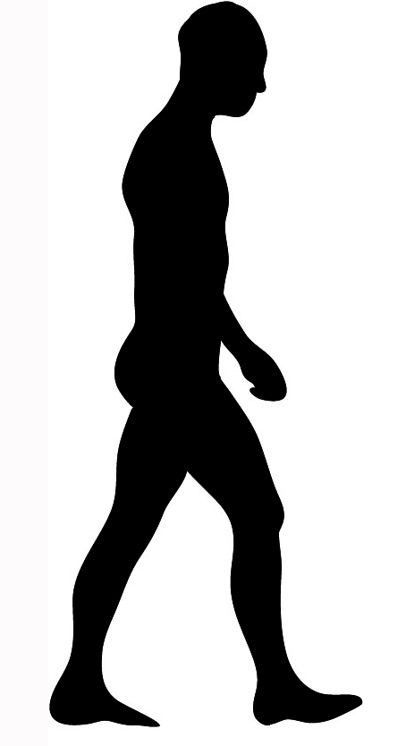 Walking Man Silhouette Body Silhouette