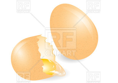 Broken Egg Isolated On White Background Download Royalty Free Vector
