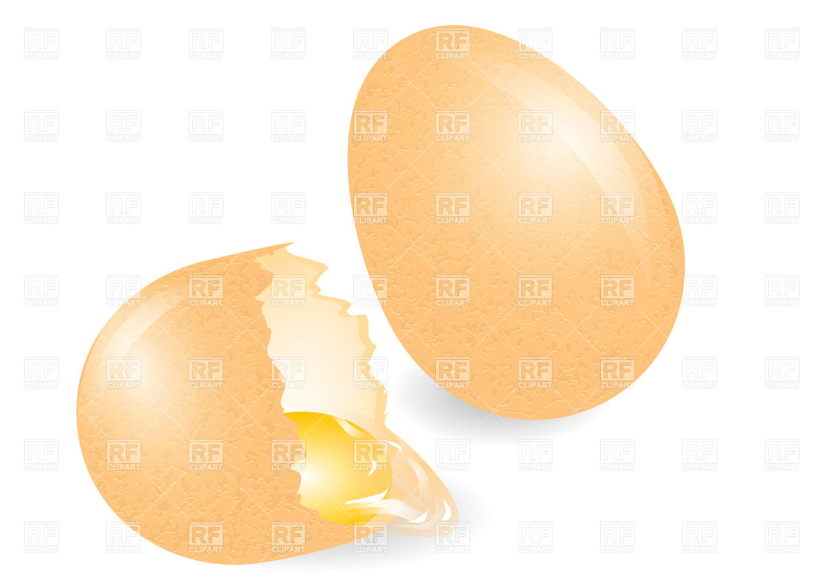 Broken Egg Isolated On White Background Download Royalty Free Vector