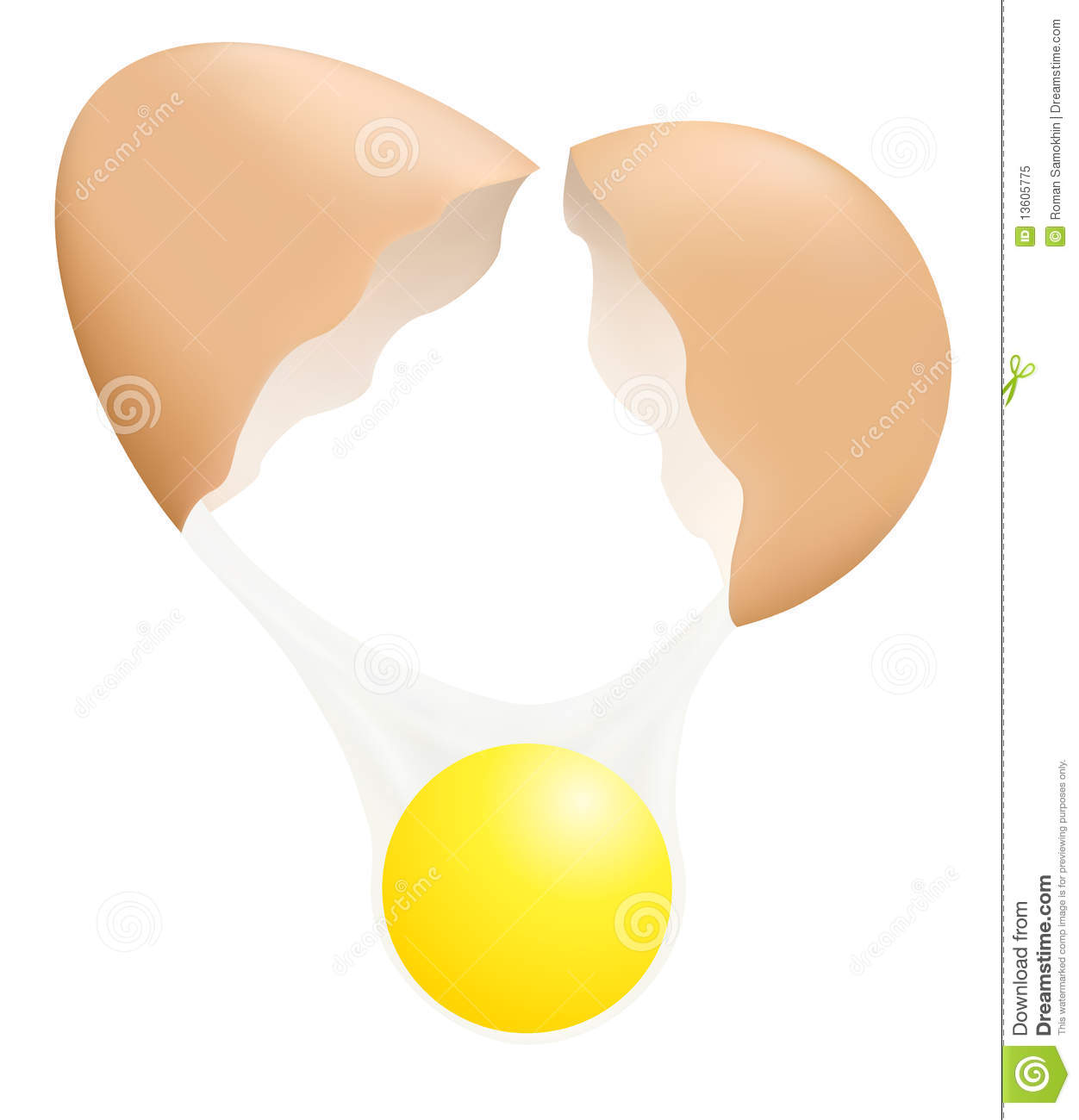 Broken Egg Royalty Free Stock Photo   Image  13605775