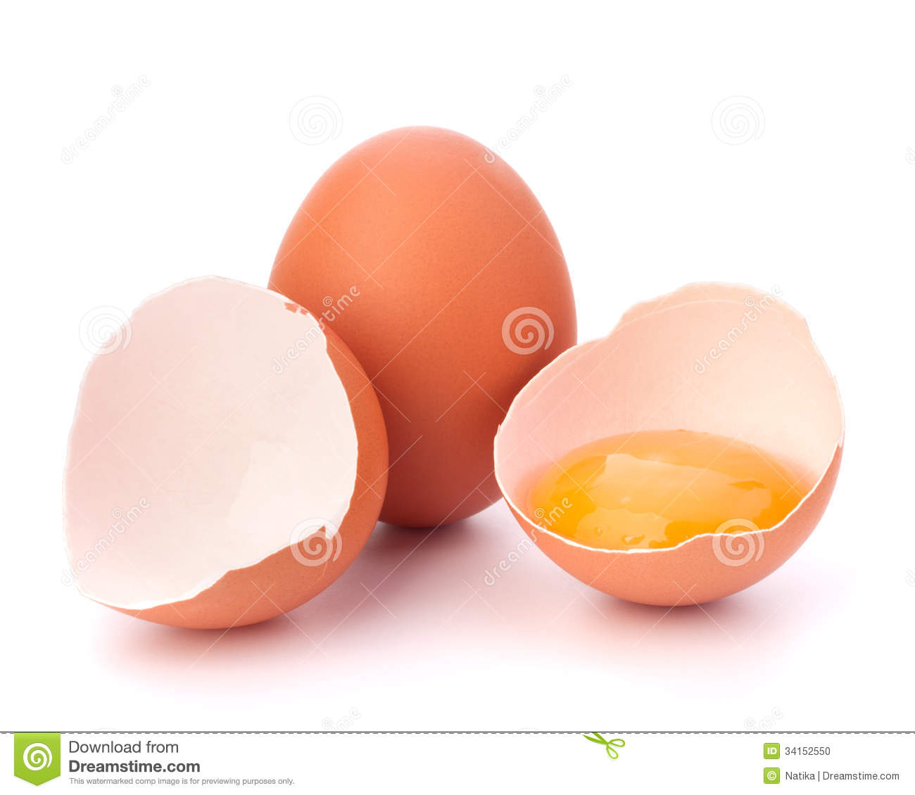 Broken Egg Stock Photo   Image  34152550