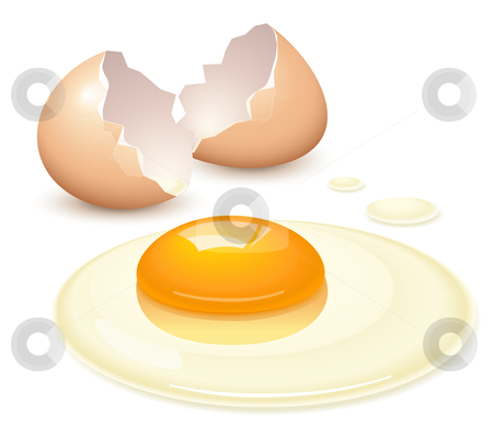 Broken Egg Stock Vector Clipart Broken Egg On White Background By