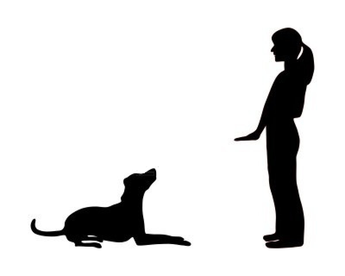 Churchill County Nv   Official Website   Dog Obedience Class