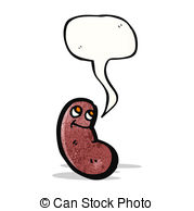 Kidney Bean Vector Clipart And Illustrations