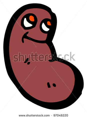 Kidney Beans Clipart
