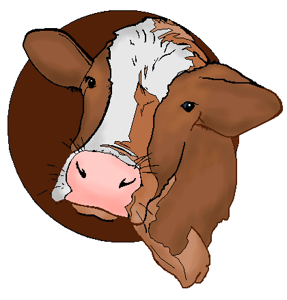 Public Domain Cows   Cow Clip Art 6   Cow Head On Brown