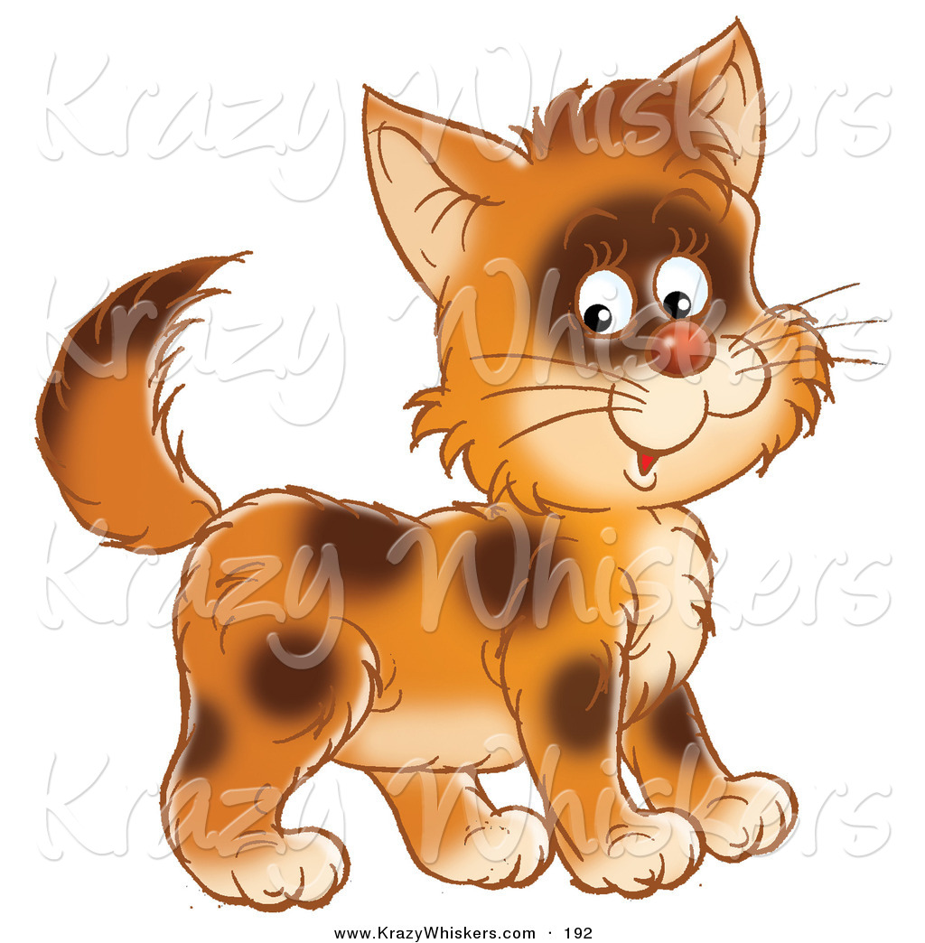 And Cute Brown Kitty Cat With Spots Smiling At The Viewer Scared Brown