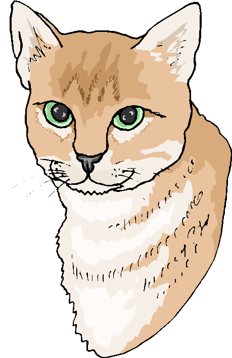 Brown White Cat Free Animal Clipart