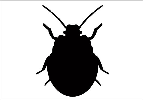 Bug Silhouette Vector Clipart